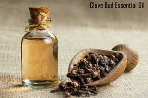 Huile essentielle de bourgeon de girofle pur 100% Huile essentielle de bourgeon de girofle en vrac Huile essentielle de bourgeon de girofle naturel et pur - Product Image 3