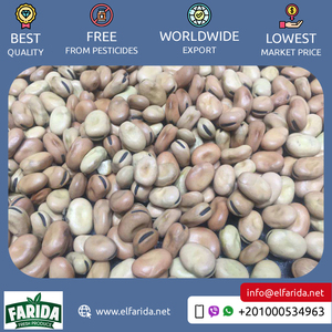 Frijoles frescos marrones nutritivos de grado premium de alta calidad de origen egipcio, frijoles secos competitivos, precio de compra a granel, exportaciones - Product Image 2