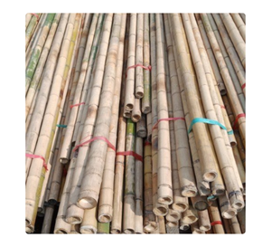Vietnam Manufacturer of Natural Bamboo <b>Pole</b> Supplying Bamboo <b>Poles</b> <b>for</b> Crop Support and Export - Product Image 3