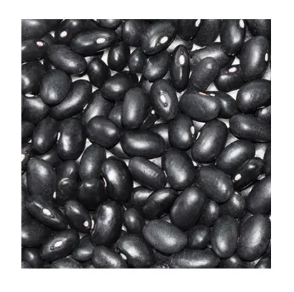 하이 퀄리티 말린 스타일 자연 도매 검은 신장 콩 저렴한 가격 제조 업체 독일에서 전세계 수출