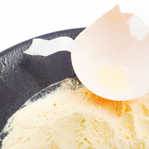 Eierschalenmembranpulver mit hohem Proteingehalt |   Lieferant für Kollagen- und Chondroitin-reiche Eiermembranen | Ernährung, Nahrungsergänzungsmittel & Kosmetische Anwendung - Product Image 1