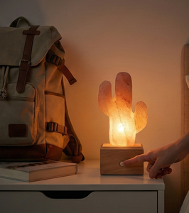 Lámpara de Sal del Himalaya con Forma de Cactus, Funciona con Batería, Tallada a Mano, Cristal Rosa Natural, Luz Nocturna Portátil para Escritorio y Decoración de Viaje - Product Image 4