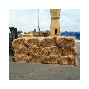 Vietnam'dan en iyi seçim-Cocopeat Fiber çip düşük EC/ 100% Coco Husk Cocopeat /Coir Pith bitkiler için yüksek kalite sıcak satış