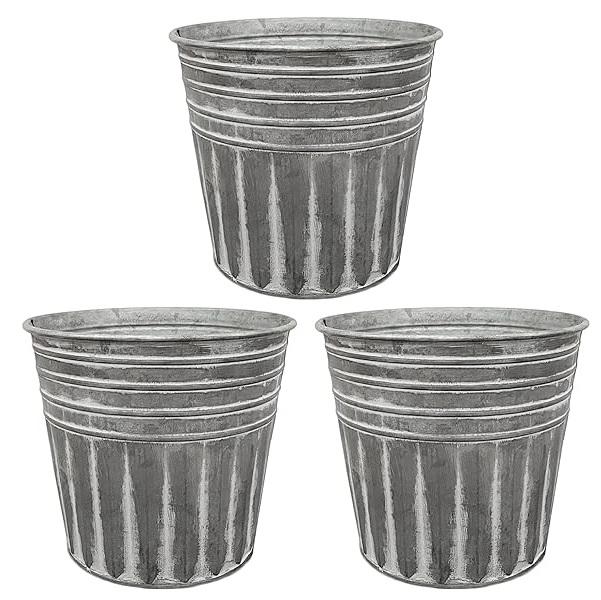 ตามที่แสดง