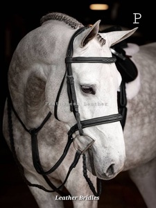 Meilleure vente de bride de cheval en cuir personnalisée de styles occidentaux anglais bride d'équitation en cuir véritable fournisseur en gros tendance - Product Image 6