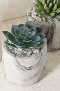 POTS DE FLEURS - Product Image 6