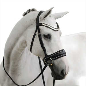 Brida de lujo Diva Snaffle con cristales austriacos, banda para la nariz acolchada con gel y correa de sondeo para máxima comodidad - Product Image 1