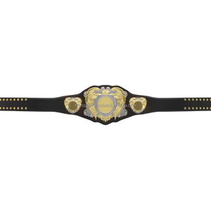 Belt Custom Wrestling Boxing MMA Heavyweight Popular Championship Belt Professional Manufacturer Cheap Championship Belt - Product Image 4