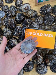 Conchas marinas de Lapa natural de calidad superior de Vietnam para la fabricación de joyas y proyectos de artesanía decorativa - Product Image 2