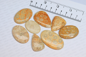 Hấp dẫn hóa thạch san hô jasper đá quý kết hợp hình dạng tùy chỉnh kích thước mịn đánh bóng hóa thạch san hô jasper Cabochon quà tặng cho cô ấy - Product Image 4
