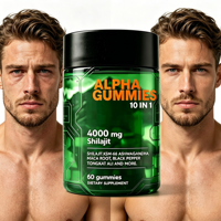 Gummies OEM Naturelles 10-en-1 au Shilajit pour le soutien de la détoxification corporelle et de l'immunité avec Maca – Vente en gros, Fabricant sur mesure, Approvisionnement direct