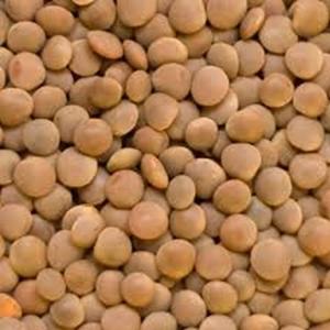 Lentejas Verdes Canadienses Secas de Sabor Neutro a Precio Económico - Product Image 6