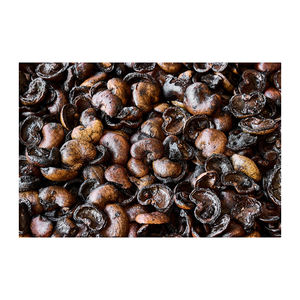 Coquille de noix de cajou de qualité supérieure disponible en grande quantité achat en gros à faible coût - Product Image 3