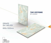 Principal fournisseur indien de carreaux de marbre et de porcelaine 60x120cm de qualité supérieure, premier exportateur indien de confiance dans le monde, États-Unis, Australie