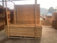 Vietnam usine en gros bois dur taille 3m diamètre 5cm et personnalisé pour la construction de clôtures de jardin et de ferme