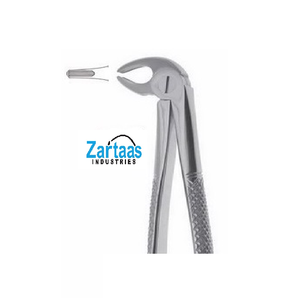 Pince d'extraction en acier inoxydable de haute qualité prémolaires inférieures pour enfants fig 13S exportateurs et fabricant - Product Image 3