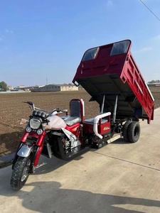 <span class=keywords><strong>3</strong></span> ruote 200cc nuova casa adulto benzina <span class=keywords><strong>3</strong></span> ruote moto con tricicli da carico Sidecar per il carico - Product Image 5