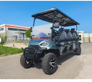 Carrito de Golf Eléctrico Personalizable con Certificación CE, de Aluminio, 8 Plazas, con Batería de Litio - Product Image 2