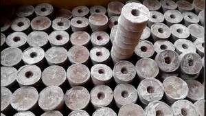 Granulés de tourbe de coco du Vietnam Substrat naturel de haute qualité pour les systèmes hydroponiques et les semis - Product Image 5