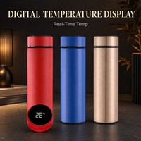 Bouteille isotherme intelligente en acier inoxydable de 500 ml avec affichage LED de la température, gourde portable, OEM ODM, vente en gros