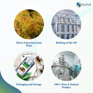 Asafoetida Huile Huile 100% Pure et Naturelle En Gros En Vrac Prix Le Plus Bas Emballage Personnalisé - Product Image 4