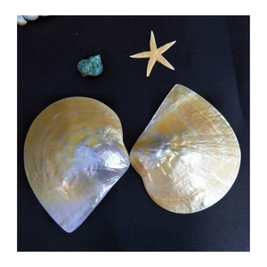 Pièces de coquille de nacre du Vietnam tranches de nacre pour bijoux Art mural incrustation décorative meubles à partir de 99 données en or - Product Image 3