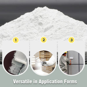 ความบริสุทธิ์สูง 20000 #   อะลูมินาผสมตาข่ายสีขาว WA คอรันดัมสีขาวสำหรับเติมสี - Product Image 2