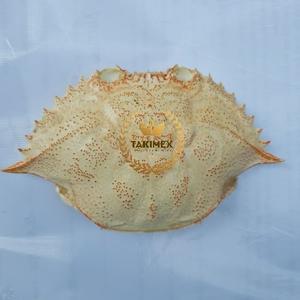 <b>Crab</b> <b>Shell</b> High Quality / Dried <b>Crab</b> <b>Shell</b> for Foodstuff From Vietnam - Product Image 5