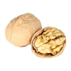 Vente en gros de noix biologiques noix 100% naturelles noix nutritives fraîches assurance qualité noix alimentaires - Product Image 1