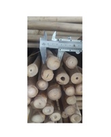 Clôture en treillis de bambou doré Sandy - Grand piquet de bambou - Piquets naturels pour jardin et agriculture - Durée de vie de 5 ans