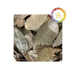 Feuilles de graviola au corossol séchées naturelles du Vietnam soigneusement sélectionnées et séchées au soleil pour une qualité supérieure - Product Image 5