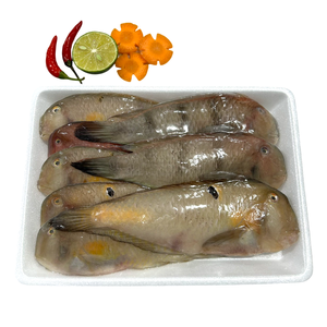 Fournisseur de fruits de mer du Vietnam poisson perroquet entier congelé pour bébés à prix compétitifs Emballage sous vide IQF/BQF en vrac Emballage en gros pour exportation - Product Image 3