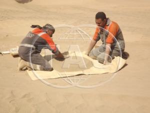 Engrais de roche de phosphate (P2O5 30% Min) - Product Image 6