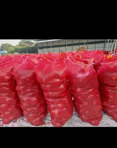 Premium Qualität Rote Zwiebel Neue Ernte Ägypten Frische Rote Zwiebeln Guter Preis Natürliche Gesunde Rote Zwiebeln Großhandel - Product Image 6
