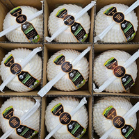 Coco joven fresco, coco desgranado, agua de coco, suministro a granel, exportador OEM de Vietnam