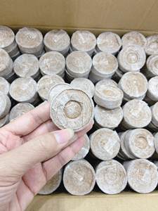 Pellet de turba de coco natural, alta calidad de exportación, precio bajo, pellet de turba de coco, pellets de coco biodegradables, tapones de coco - Product Image 6