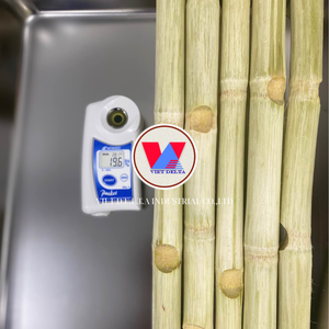 CAÑA DE AZÚCAR ENTERA CONGELADA | PURAMENTE PROCESADA | PARA UN ESTILO DE VIDA SALUDABLE - Product Image 5