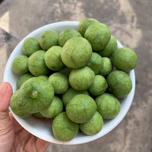 ผลไม้แช่แข็งคุณภาพส่งออก ดรากอนเมลอน จำหน่ายจำนวนมาก พร้อมบริการตัดและบรรจุภัณฑ์ตามความต้องการ - Product Image 1