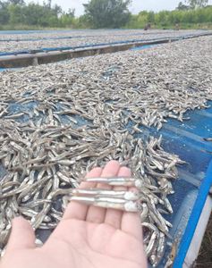 Sprats แองโชวี่เกลืออบแห้งแบบสุญญากาศเกรดต่ำเก็บไว้ทำความสะอาดอาหารทะเลบริสุทธิ์ - Product Image 3