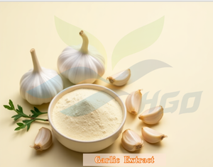 Approvisionnement direct d'usine HGO d'extrait d'ail naturel pur (qualité alimentaire santé) spécification 10:1 (extrait de rapport) - Product Image 2