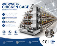Cage à poules en acier galvanisé avec système d'alimentation et d'abreuvement automatique pour élevage avicole