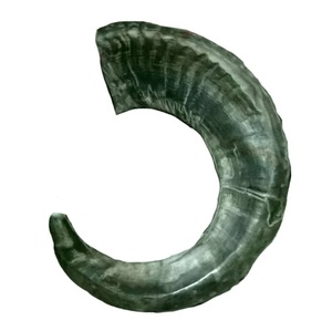 Par de cuernos clásicos hechos a mano de la mejor calidad, técnica pulida por proveedor indio para hacer artículos decorativos de animales con estilo - Product Image 2