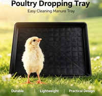 Prix Usine Nouveau MUYIDA Plateau de fumier en plastique durable pour cage à poulets, facile à nettoyer, blanc/noir, pour équipement d'élevage avicole