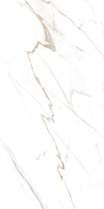 Baldosas de porcelana vitrificada respetuosas con el medio ambiente a prueba de agua 100%, 600X1200mm, garantía moderna de más de 5 años hecha en la India para uso Personal - Product Image 4