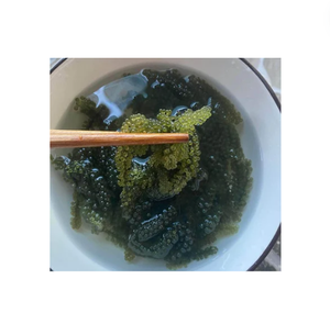 สาหร่ายทะเลแห้งคุณภาพสูงอบแห้ง Seagrape Caulerpa Lentillifera องุ่นทะเลแห้งเวียดนามทะเลมอส - Product Image 1