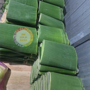 ใบกล้วยแช่แข็ง IQF ลวกเป็นจำนวนมากพร้อมส่งออกต้นกำเนิด GMO congeladas hojas de platano 0084935825297 - Product Image 1