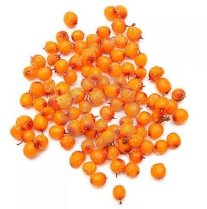Argousier Congelé IQF de Qualité Supérieure, Fruits Congelés de Qualité Alimentaire, Fournisseur en Gros, Prix d'Usine - Product Image 2