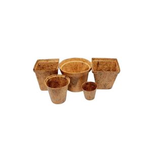 Hecho en Vietnam Producto de coco Respetuoso con el medio ambiente con 100% Maceta de coco natural Planta Decoración de la habitación Arte de la pared Plantas Jardín - Product Image 3