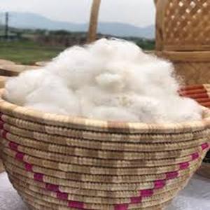 Top Quality Unprocessed Raw Cotton Fiber at Best Prices for Shipping Worldwide - Product Image 2