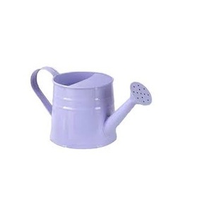 Regadera de diseño New Look Regadera de zinc, pequeña, resistente, pequeña regadera de zinc galvanizada antigua - Product Image 4